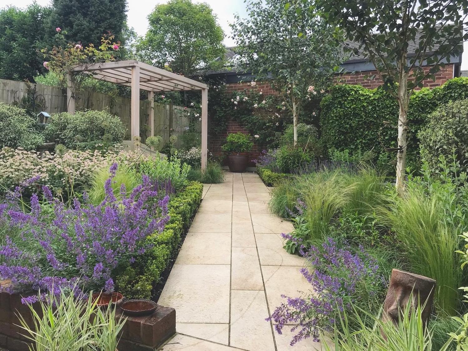 A pale sandstone path running the length of an enclosed town garden between deep mixed borders — catmint, box, Stipa and multi-stem birch — with a timber pergola and a planted pot closing the far end.